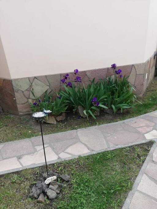 Madre Roca Apartment El Chalten Exterior photo
