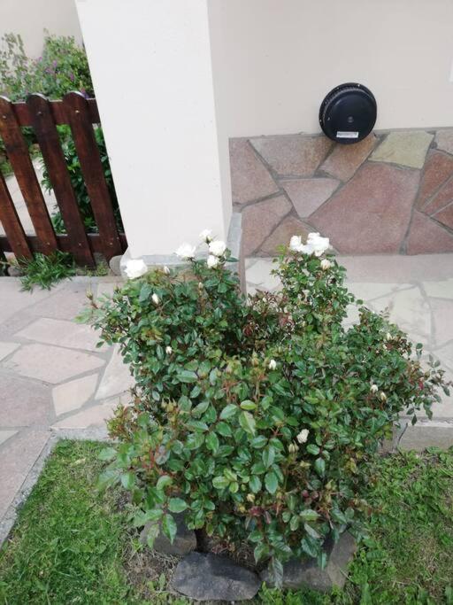 Madre Roca Apartment El Chalten Exterior photo